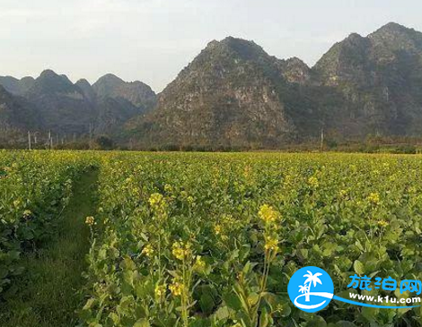 夏天離開青島去西溪濕地西區(qū)要多少錢？貴嗎？