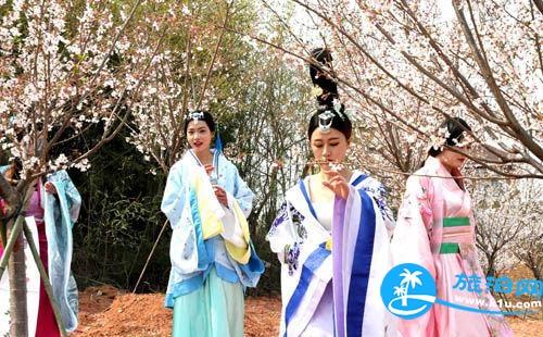 11月和12月青島到松花江的航班多嗎？怎么玩？