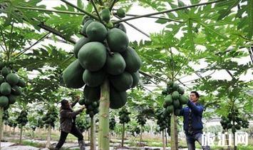 十一長假桐廬四日游暨國慶桐廬自助游旅游指南
