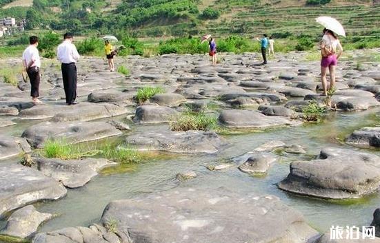 中緬柚品鑒交流節(jié)助力跨境農業(yè)旅游合作