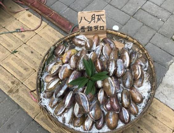 河北:省旅游委成立督導(dǎo)組 對汛期旅游安全進(jìn)行檢查指導(dǎo)