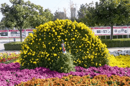 南昌到普者黑走公路旅行路線_行程_景點推薦