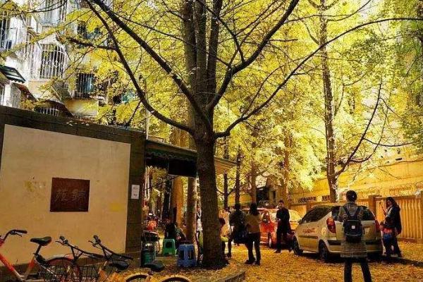 溧陽(yáng)住宿攻略_一晚多少錢_酒店推薦