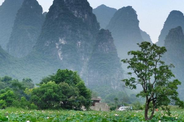 濮陽春季穿衣指南_濮陽春季穿什么衣服_濮陽春季天氣溫度