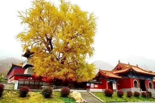 齊齊哈爾適合聚會的地方_齊齊哈爾適合聚會的餐廳_齊齊哈爾適合聚會的地方